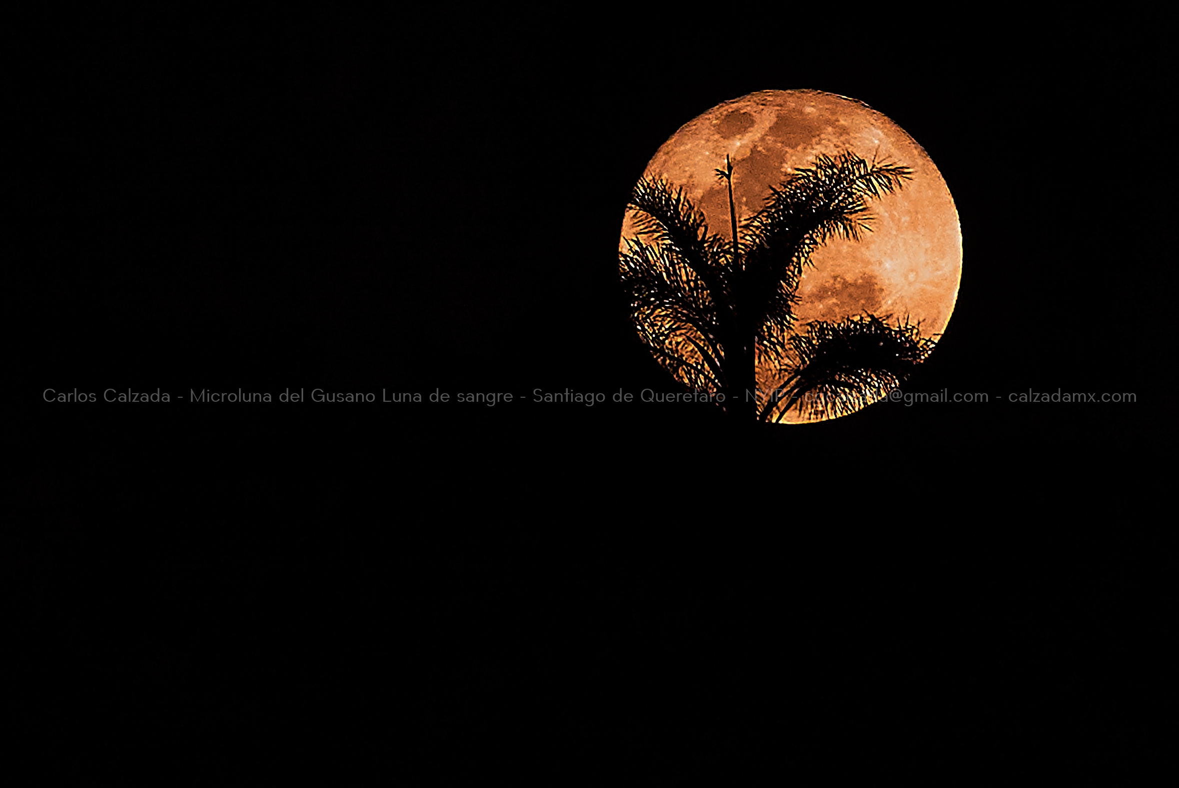 DSC02866 . Microluna del Gusano Luna de sangre . mar 14 2025.jpg